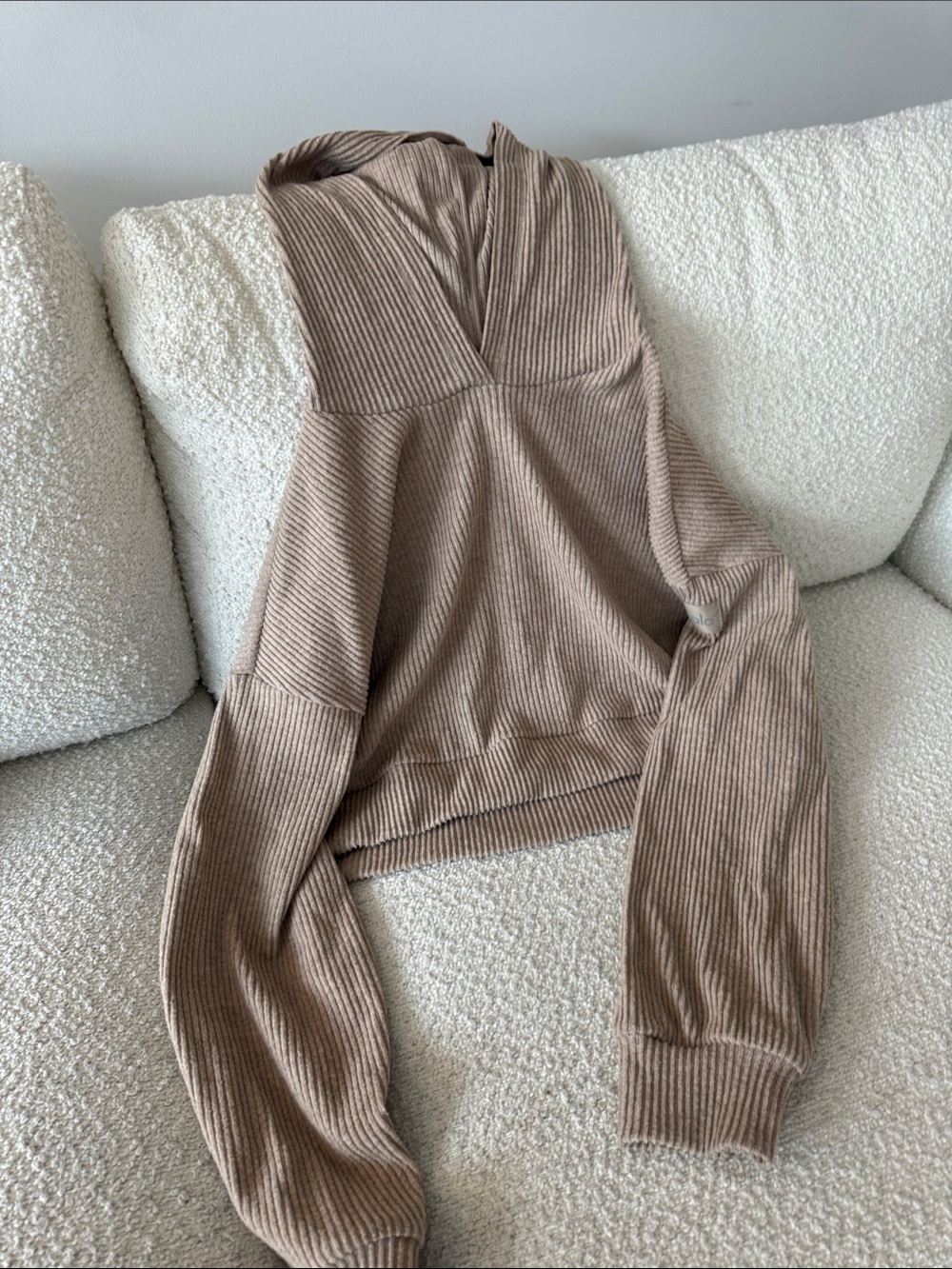 Alo Muse Hoodie